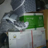 ۲عدد کبوتر بالارو|پرنده|سنندج, |دیوار