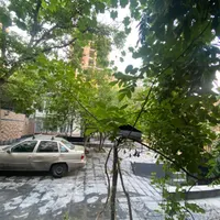 فروش زمین ۸۰۰ متری در فردوسی|فروش زمین و ملک کلنگی|تهران, فردوسی|دیوار