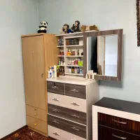 دراور آینه دار کمد قدی|جاکفشی، کمد، دراور|مشکیندشت, |دیوار