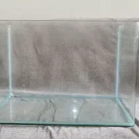 اکواریوم شرکتی خم