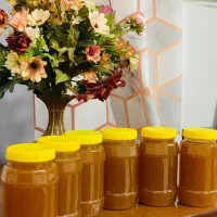 عسل کنار با کیفیت کاملا تضمینی