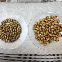 کود های تقویتی درخت پسته (افزایش سایز و خندان شدن)|خدمات باغبانی و درختکاری|قم, آزادگان|دیوار