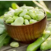 محصولات خانگی