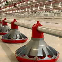 فروش اسکرو برای جا ب جایی سیمان و..|فروشگاه و مغازه|قزوین, |دیوار