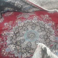 دوازده متری سالم