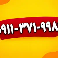0911-371-9981