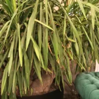 جهت خرید تماس بگیرید