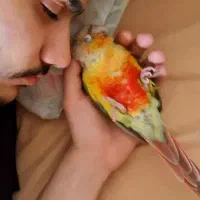 طوطی گرینچیک سخنگو دستی آناناسی نایاب