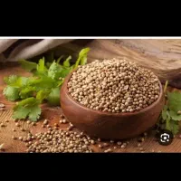 گشنیز|خوردنی و آشامیدنی|نهاوند, |دیوار