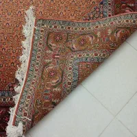 فرش دستباف ریز ماهی اردبیل|فرش|کرج, ساماندهی|دیوار