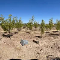 باغ ۲۰۰۰ متری تقاب فخراباد با آب