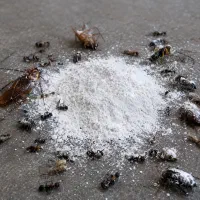 قاتل سوسک و مورچه حشره‌کش پودری اثر سریع وماندگار
