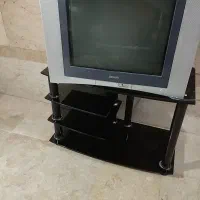 تلوزیون