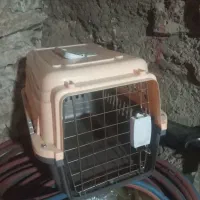 باکس سگ و گربه ارزان