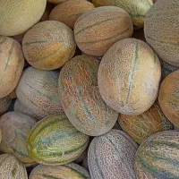 شاگرد خواستید برای میوه فروشی درخدمتم