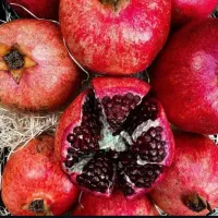 فروش نهال انار خوشه ای ملس
