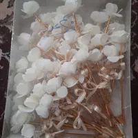 گیفت عروسی