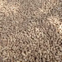 دان بلدرچین سوپر استارتر گوشتی  و تخمگذار|حیوانات مزرعه|کهریزک, |دیوار