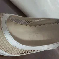 کفش مجلسی سایز ۳۸|کیف، کفش، کمربند|رشت, فلسطین|دیوار