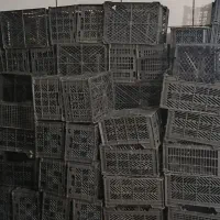 سبد جا میوه