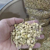 گیاهی و بهداشتی|آرایشی، بهداشتی، درمانی|یزد, |دیوار