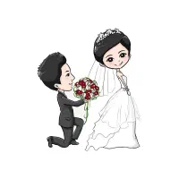 فیلمبرداری مجالس عروسی