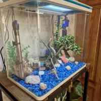 آکواریم شرکتی برند ریوو Rivo