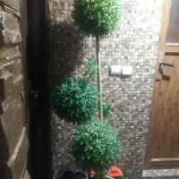 درختچه مصنوعی با گلدان حصیری|گل مصنوعی|آمل, |دیوار