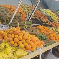 به یک کارگر ساده نیازمندیم