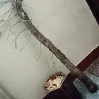 درختچه مصنوعی