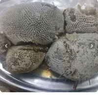 عسل طبیعی موجود است