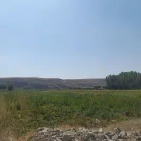 زمین جهت مشارکت نیازمندیم