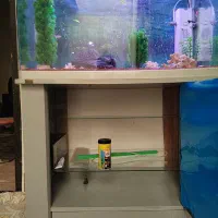 اکواریوم ژاپنی