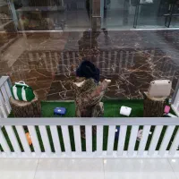 دکور مغازه تمام ام دی اف درجه یک|فروشگاه و مغازه|بهشهر, |دیوار