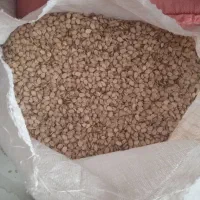 تخمه هندوانه|خوردنی و آشامیدنی|محمدبار, |دیوار