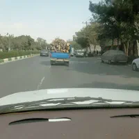 خریدچوب برش کاری درخت هرس کاری|خدمات باغبانی و درختکاری|مشهد, توس (بلوار توس)|دیوار