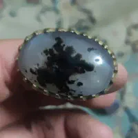 شجر