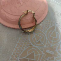 گوشواره گم شده