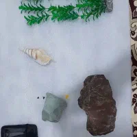 آکواریوم و ماهی