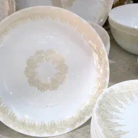 دو سرویس دینو