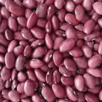لوبیا قرمز درجه یک