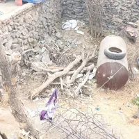 فروش کنده درخت|عمدهفروشی|گزیک, |دیوار