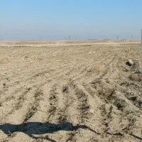 زمین مرغداری