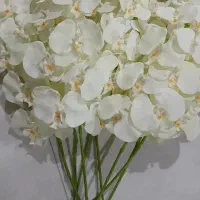 گلهای ارکیده ۸شاخه|گل مصنوعی|مشهد, طلاب|دیوار