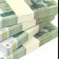 سرمایه گذار و شراکت