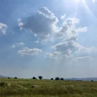 فروش ۵ هکتار زمین کشاورزی بهمراه چاه آب