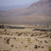 اجاره مرغداری