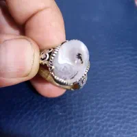 انگشتر شجر|جواهرات|کرمان, |دیوار