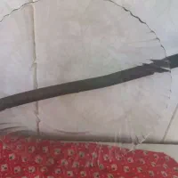 ظروف اشپز خانه|ظروف سرو و پذیرایی|شهرکرد, |دیوار