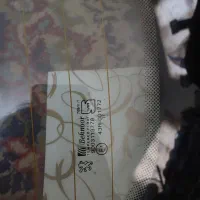 شیشه عقب ۲۰۶ اس دی